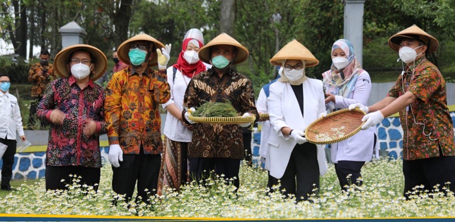 Karanganyar Potensi Menjadi Sumber Bahan Baku OT